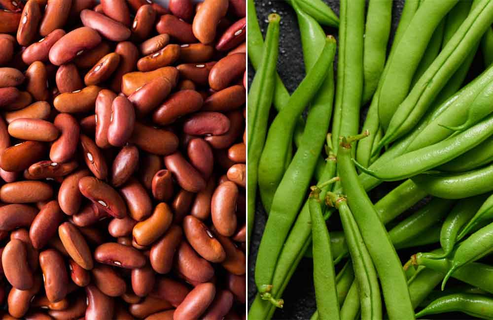 Beans and Legumes